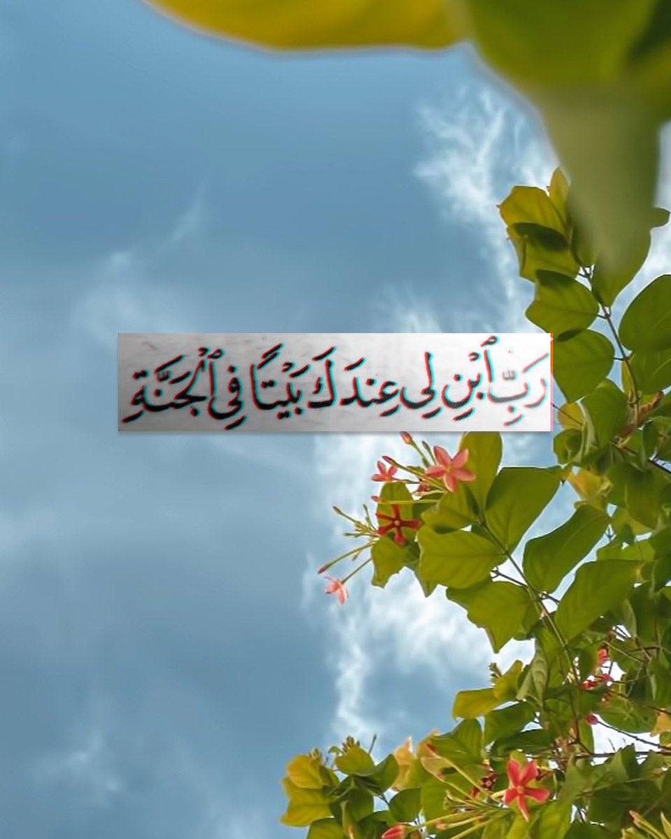 فهد السهلي tweet media