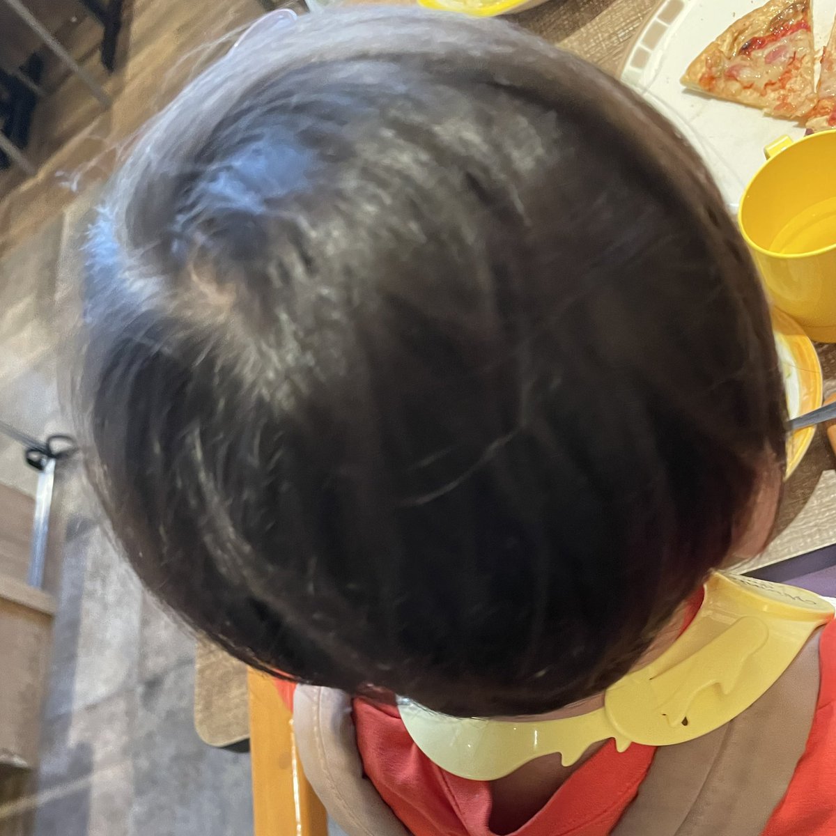 ぶたおくん tweet media