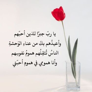 وُتيـــن •✦ tweet media