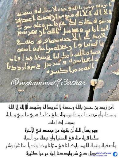 🐪 🇸🇦 tweet media