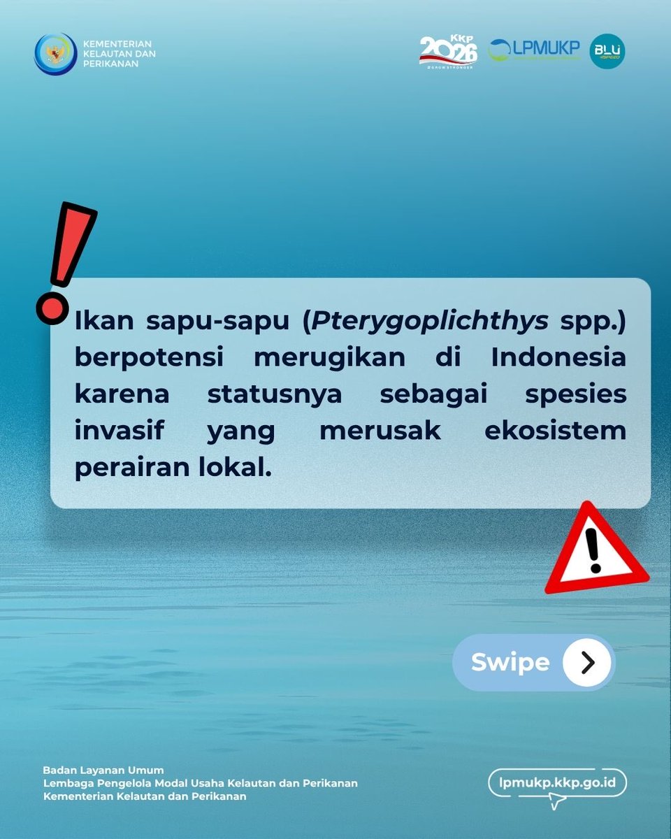 lpmukpgoid's tweet photo. Kenal ikan ini? ikan ini termasuk spesies invasif yang bisa mengganggu keseimbangan ekosistem berpotensi menggeser ikan lokal dan merusak habitat sungai di Indonesia.
Yuk, lebih bijak menjaga kelestarian perairan kita 💪
#2026kkpgrowstonger #kkpgoid #lpmukpgoid #perairanindonesia https://t.co/C81h6OFBDY