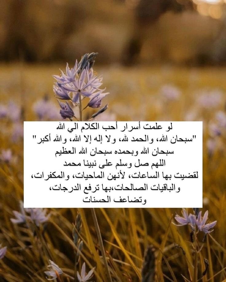 .دانه (@zm37zm37) on Twitter photo 