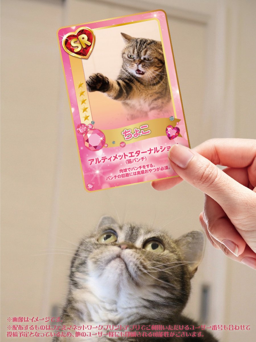 ファミリーマート tweet media