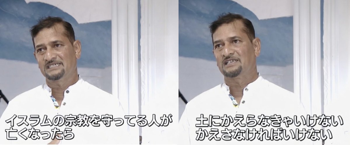 ちゃんほた🌸 tweet media