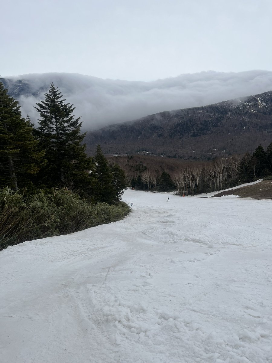 やまたつ tweet media