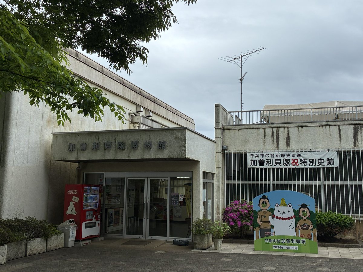 よと散歩@そこら辺 tweet media
