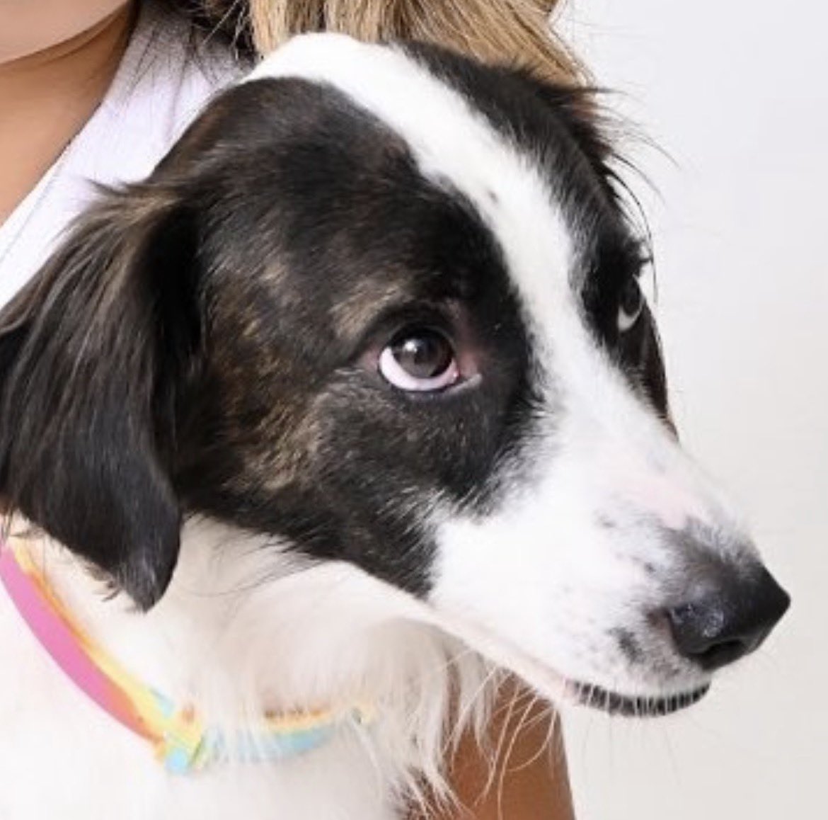 mar sagr💋 tweet media