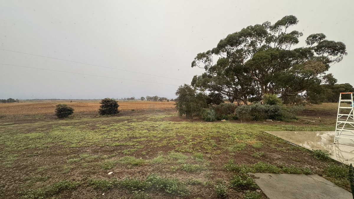 PiggottTash's tweet photo. Soupy fog yesty &amp; then a gloomy day to follow.
5.5mls rain here in some brief showers this morning. Very nice. https://t.co/i2VmWuooCL