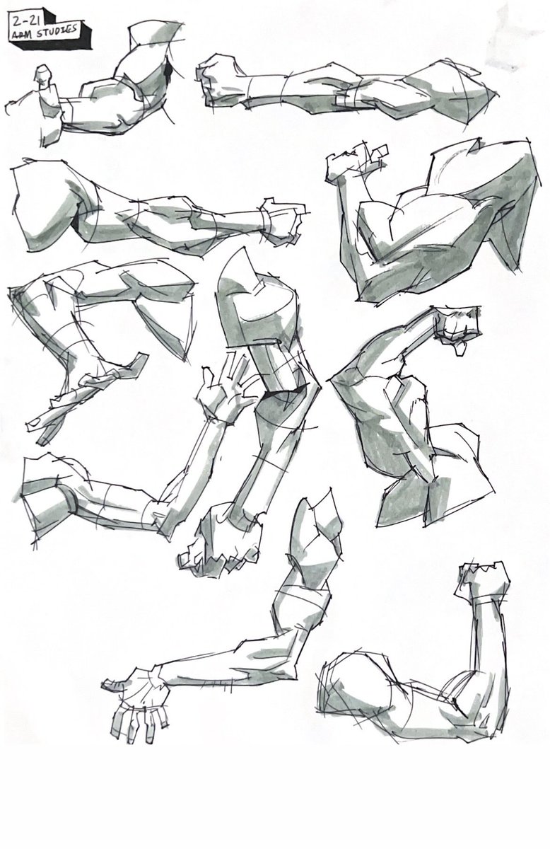 🐟🆕 tweet media