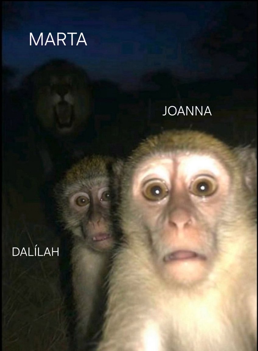 Dani Jasso tweet media