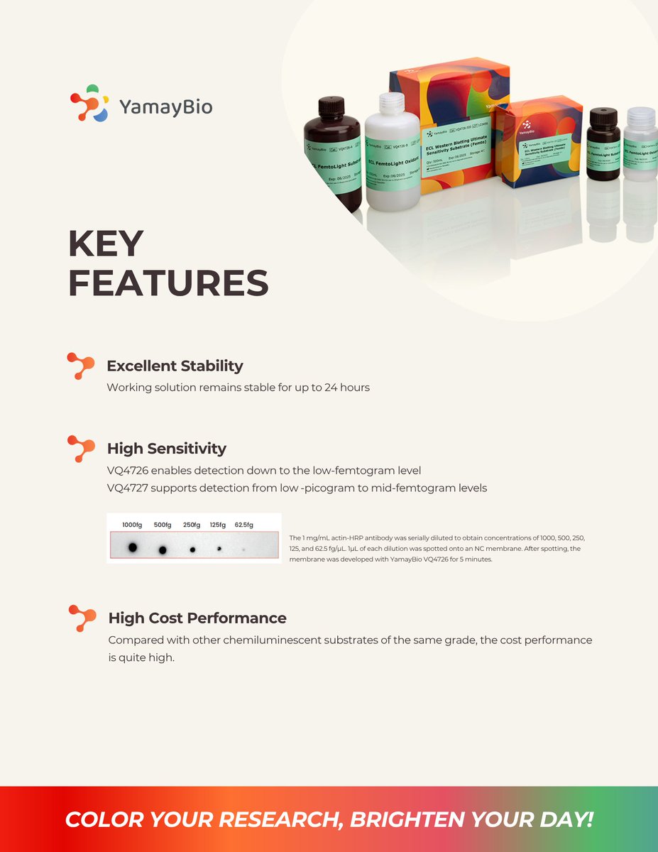 yamaybioinc's tweet image. Need higher sensitivity in your Western Blots? 

Our ECL Ultimate Sensitivity Substrate delivers femtogram-level detection, strong signals, and excellent stability.

Reliable. Efficient. Powerful.

#westernblot #proteomics #lifescience #biotech #research #yamaybio #science #lab