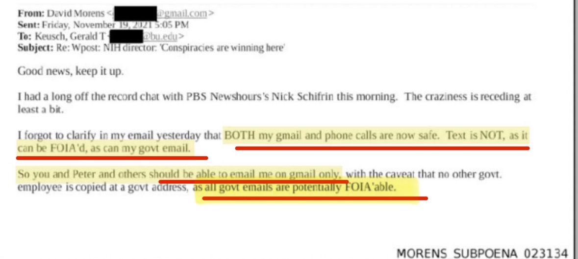 Mike Benz tweet media