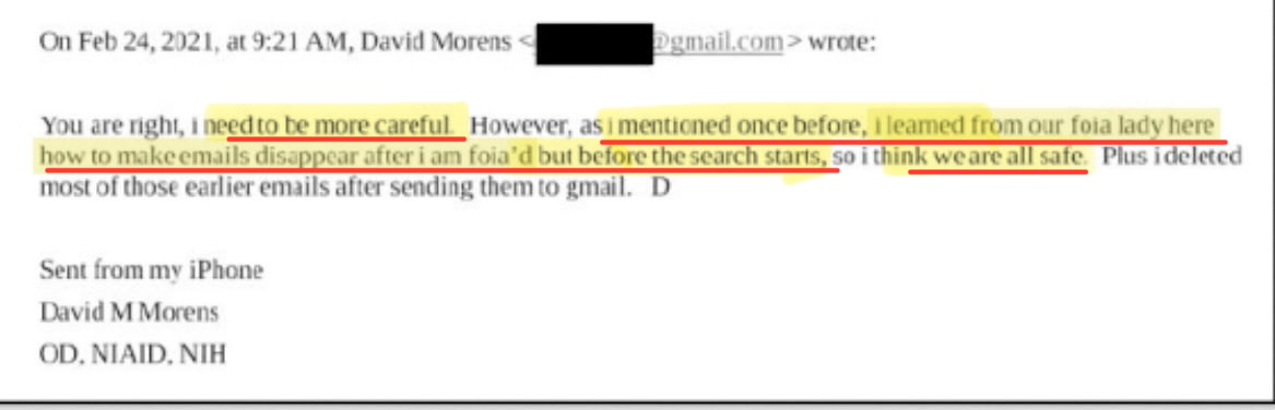 Mike Benz tweet media