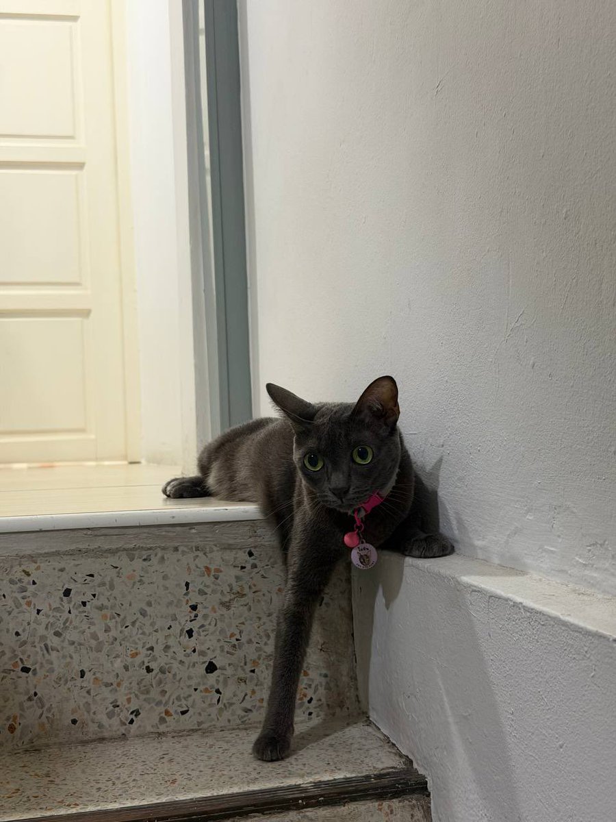 คือผมต้องทราบไหม 🐈‍⬛ tweet media