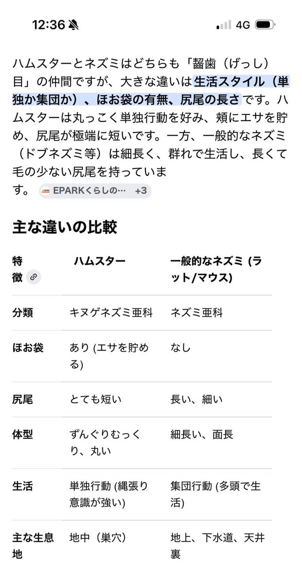 えび天 tweet media