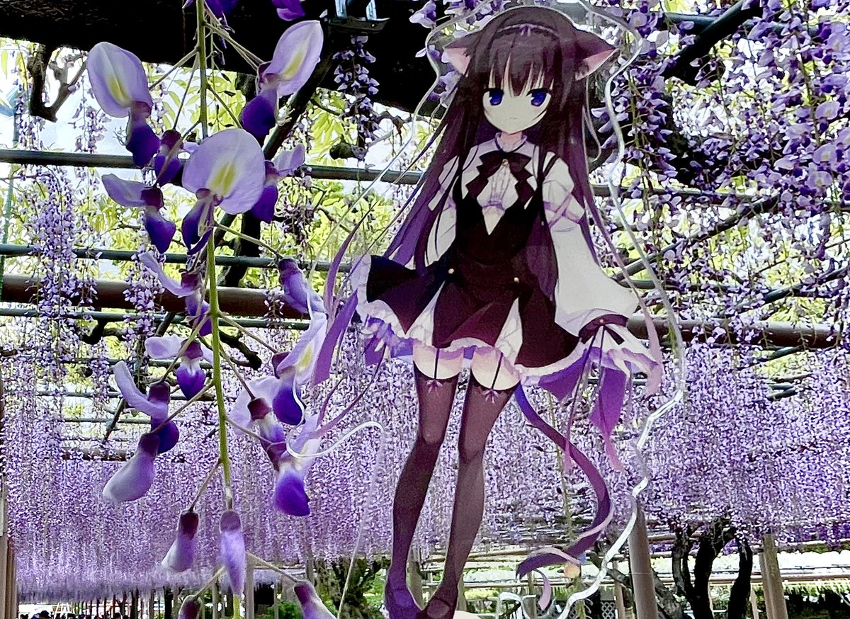てなっしー💜🐾/💟✨ tweet media