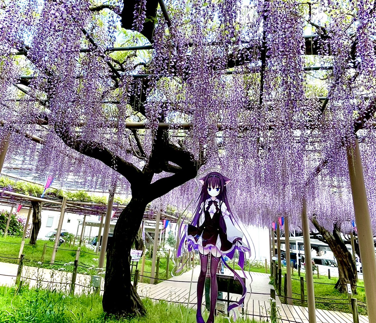 てなっしー💜🐾/💟✨ tweet media