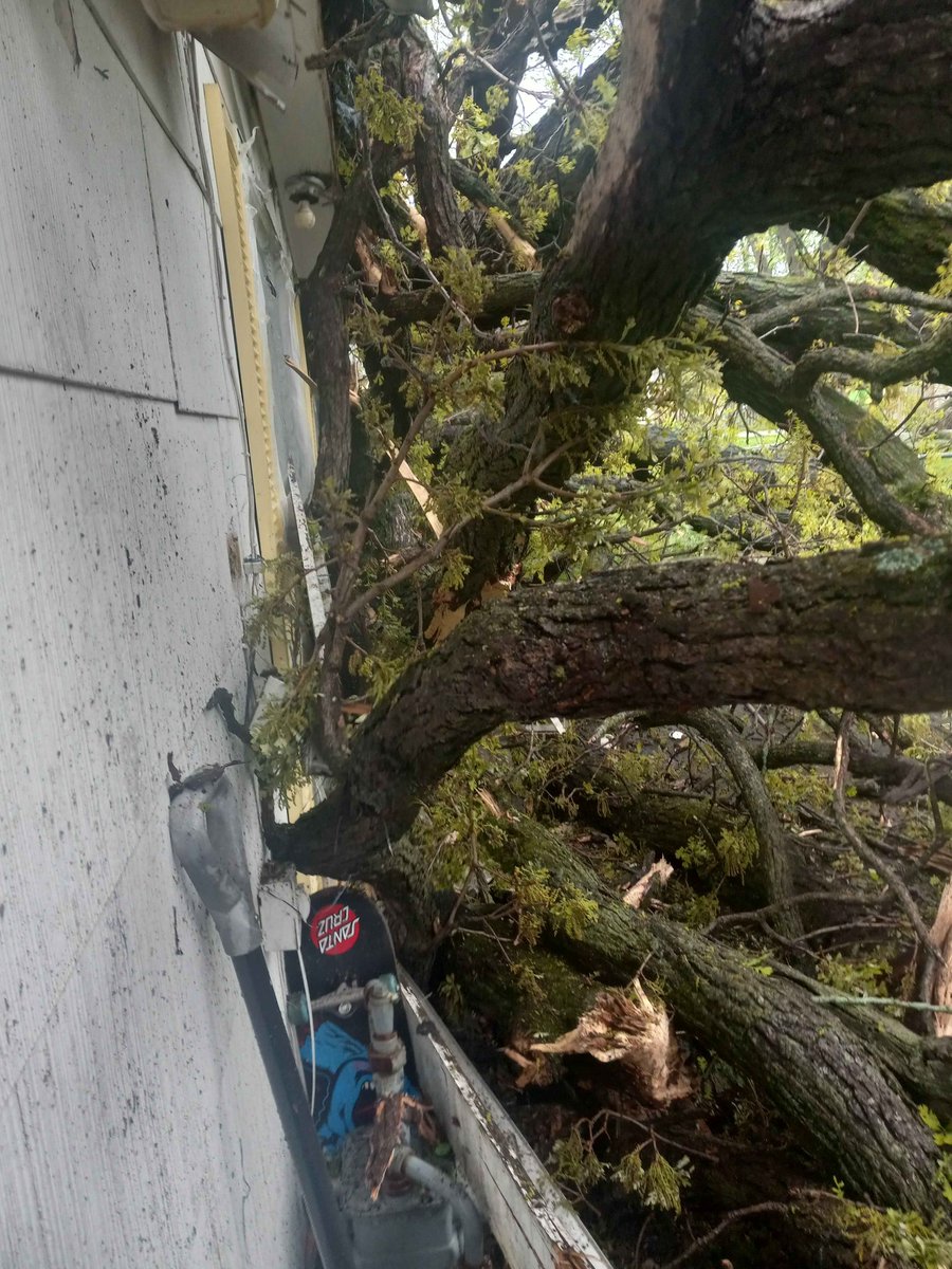 lambo1026's tweet image. A massive tree crashed into Susan's family home during a severe Indiana storm, crushing the house and their vehicles. Now displaced with a young daughter, they're facing huge repair &amp;amp; hotel costs anything helps thanks
gofund.me/8f7e1401c
#philanthropy #gofundme #SevereWeather