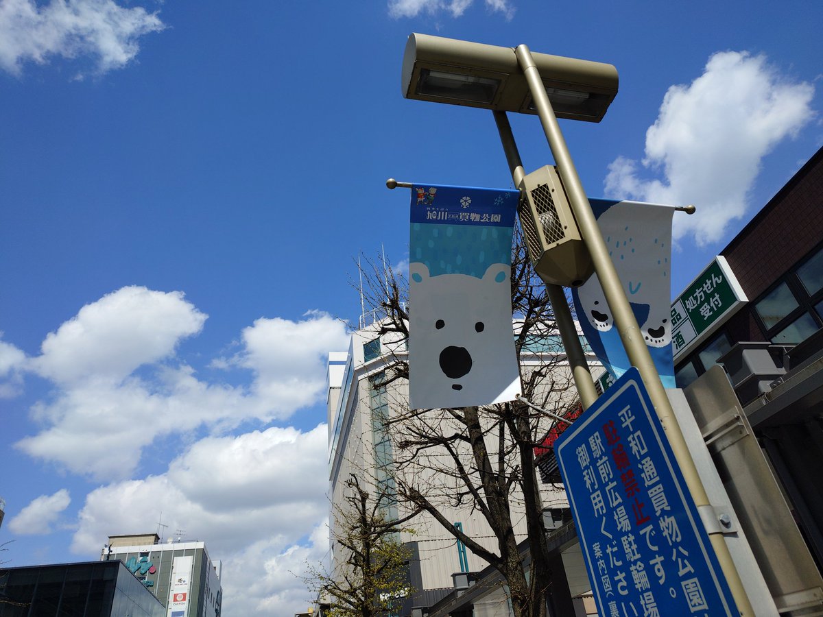 茶釜(chagama) tweet media