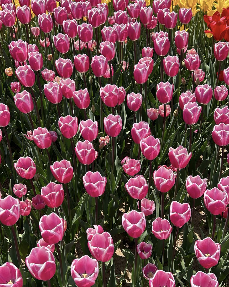 อะตวม tweet media