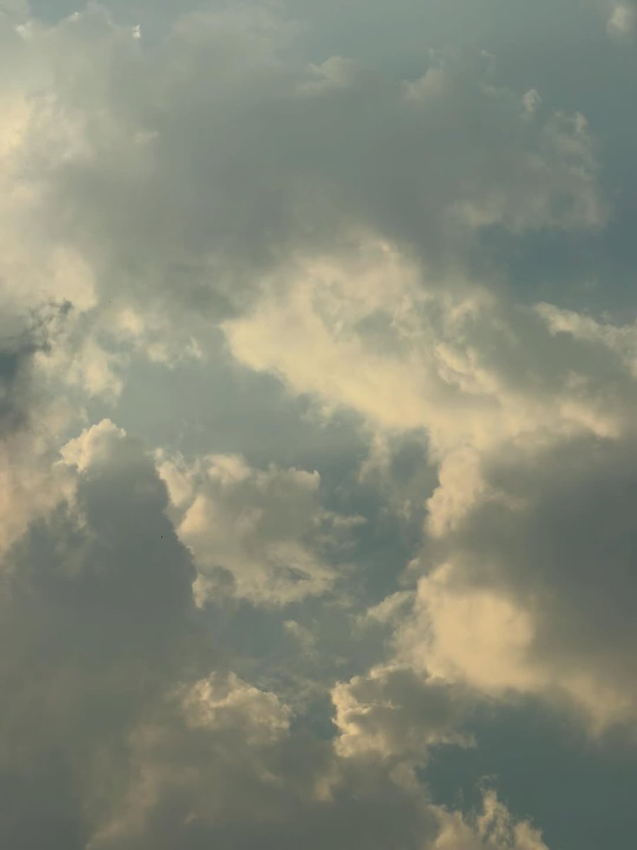 LingOrm_TagTrend 📈 tweet media