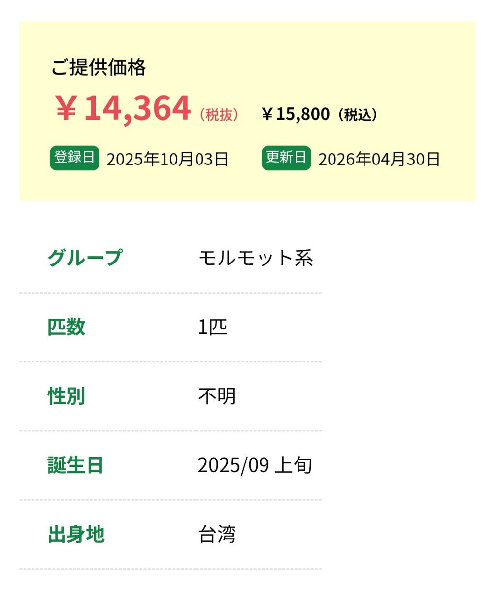 もるもる tweet media