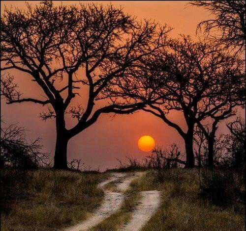 Senior Bro tweet media