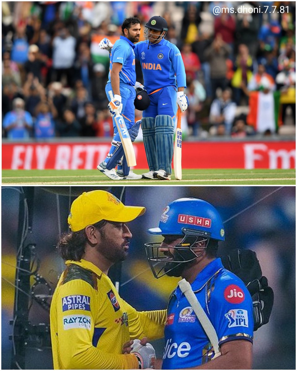 MS DHONI FAN tweet media