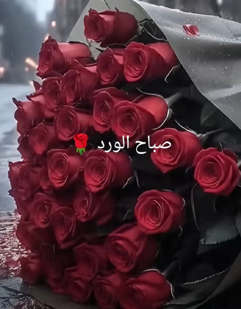 سيف 🇸🇦 tweet media