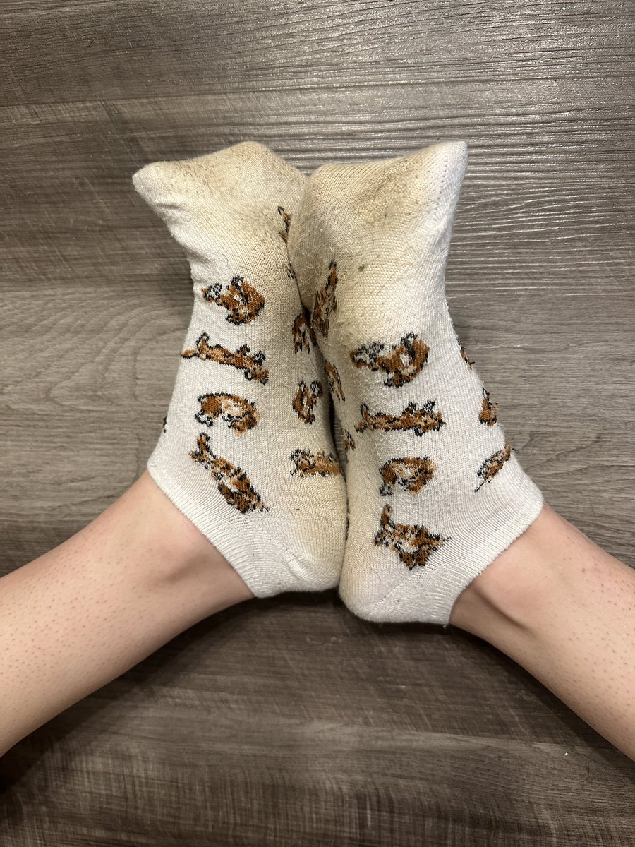 feett_fantasy's tweet image. Lattteeee post guys I just got home from dancingggg!! How I wish I could wfh tomorrow bc I’m gonna be exhausted 

#foot #feet #socks #soles #dirtysocks #sweatysocks #findom #femdom #goddess #toes #sugardaddy #cashapp #paypig #humanatm #selling