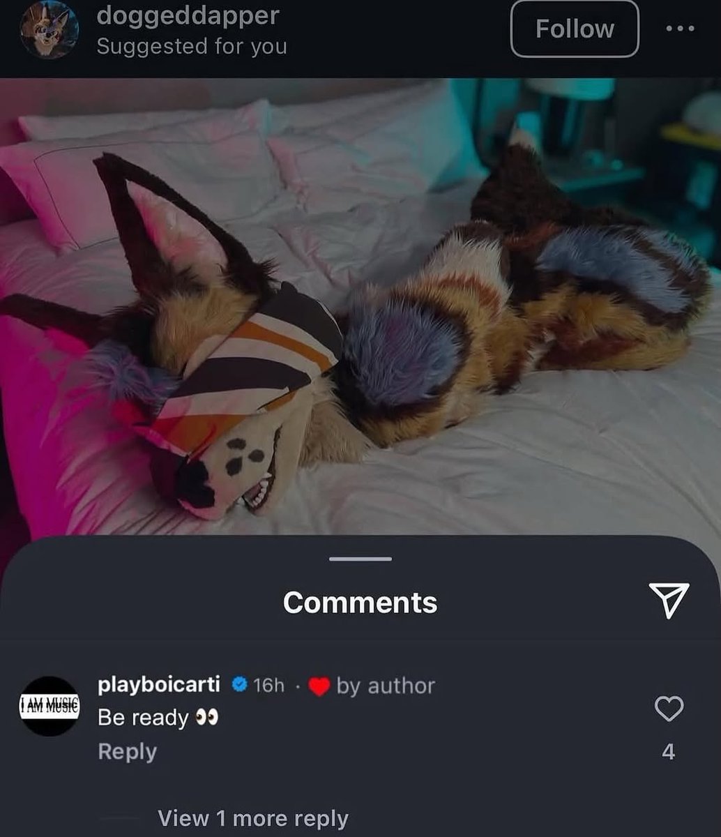 ja-hamon 🪓 tweet media