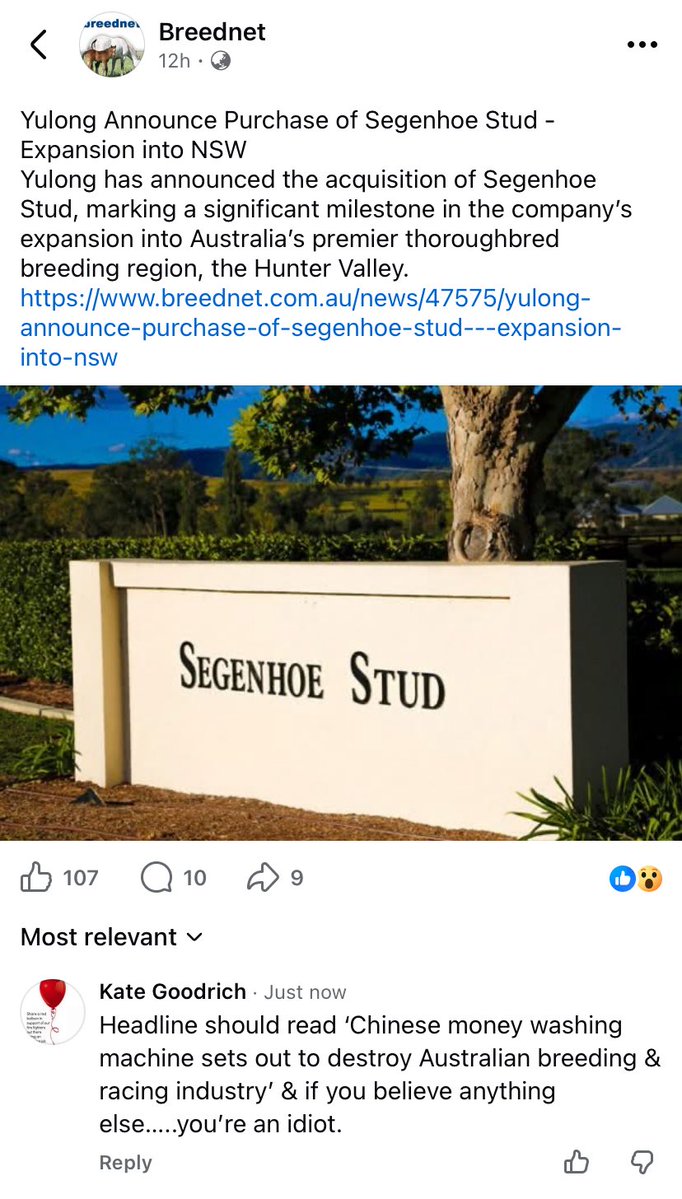 Kate L Goodrich 💭🐴♥️🇦🇺🧁 tweet media