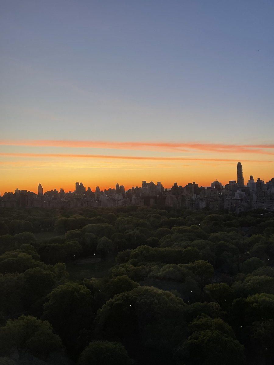 MelissaArmo's tweet image. I love nyc #nyc #centralpark @thestockswoosh