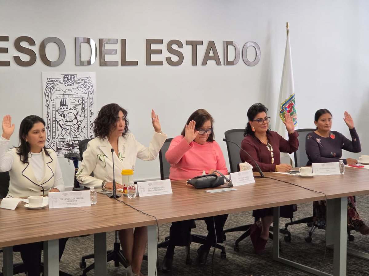 Ana Tepole Armenta tweet media