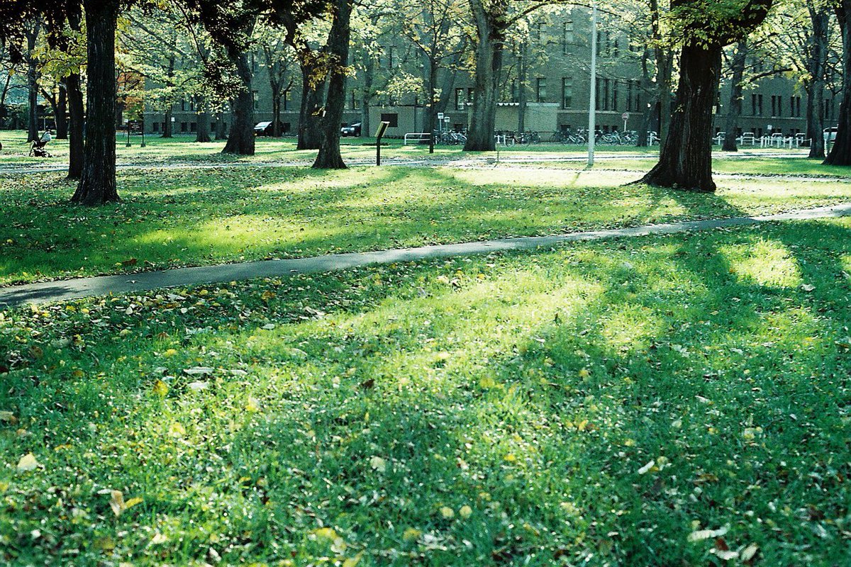 aoiblau's tweet image. good morning 0430
#film #filmphotography #pentax