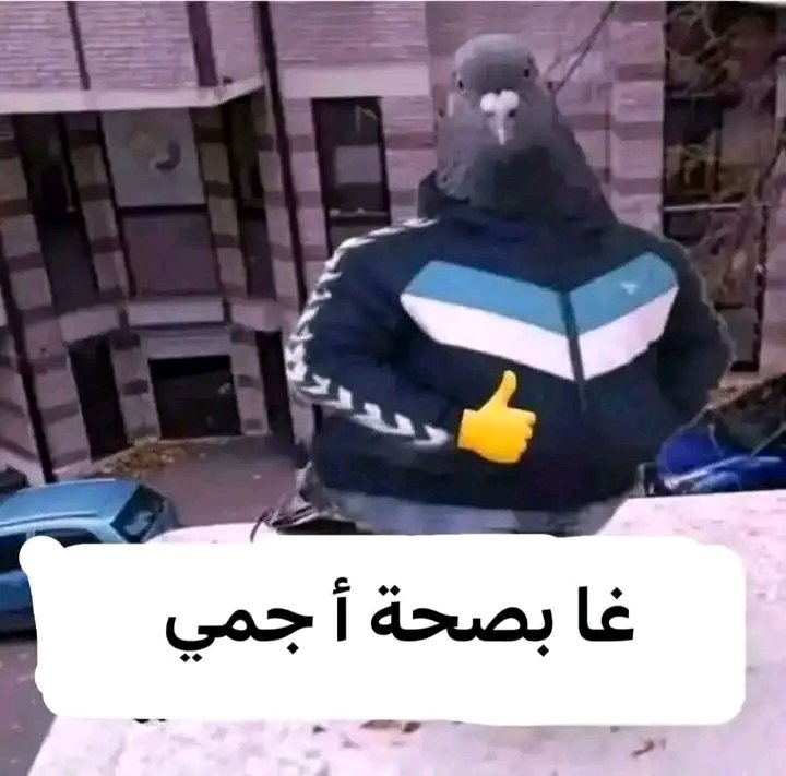 Kaddrick tweet media