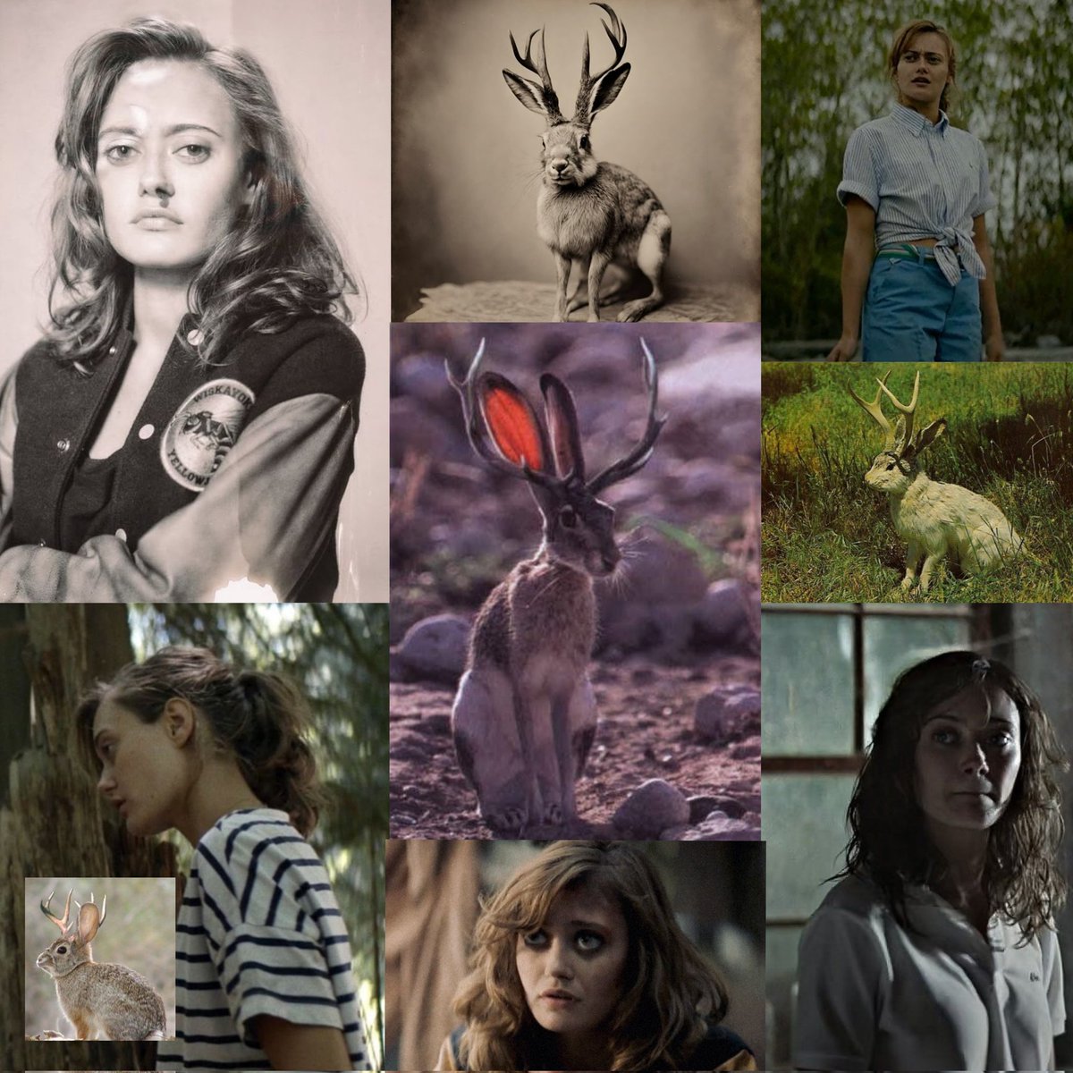 shea // pitt spoilers tweet media