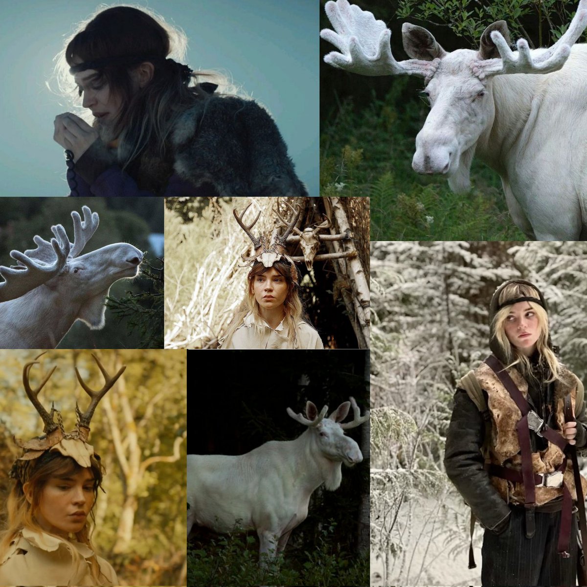 shea // pitt spoilers tweet media