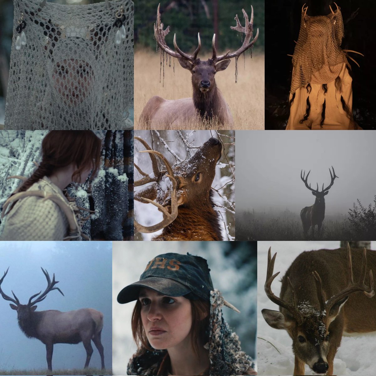 shea // pitt spoilers tweet media