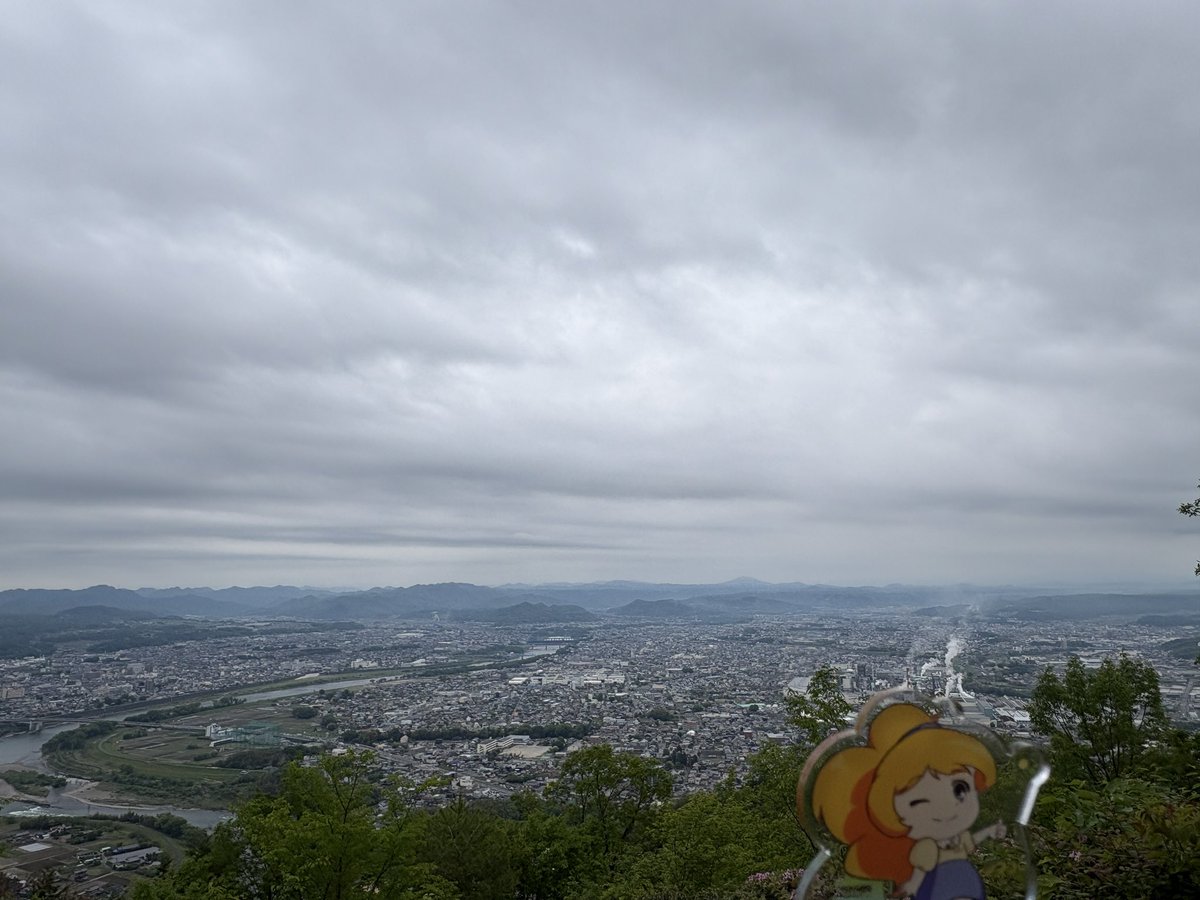 日替わり定食 tweet media