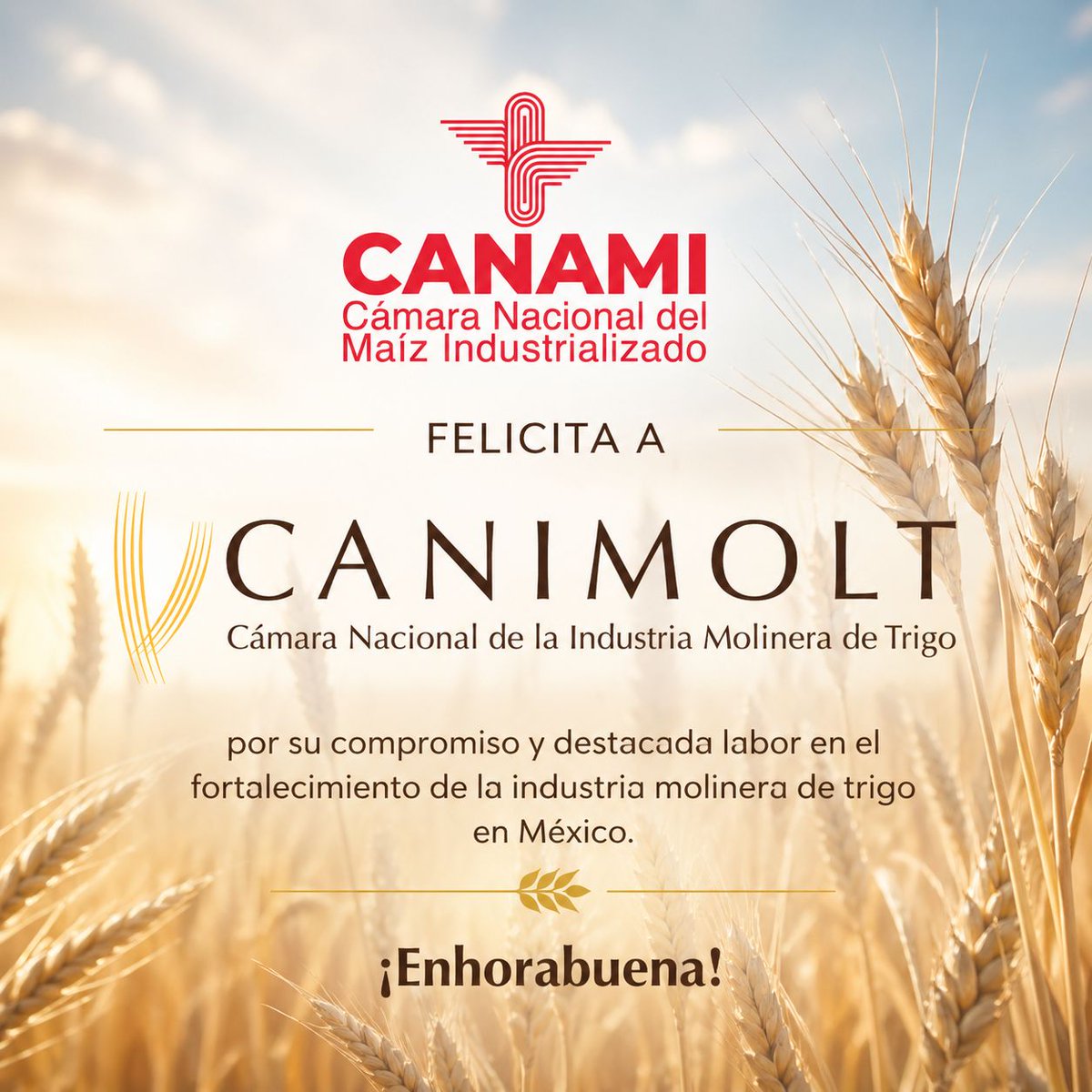 CANAMIOrgMx's tweet photo. Felicitamos a CANIMOLT en su aniversario. Desde CANAMI reconocemos su invaluable aportación a la industria. Que sigan cosechando logros en beneficio del país. ¡Muchas felicidades! https://t.co/eQaxxYs3SS