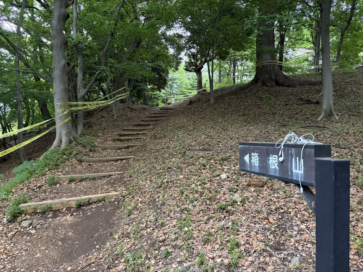 のき🌳ラフテー食べたい tweet media