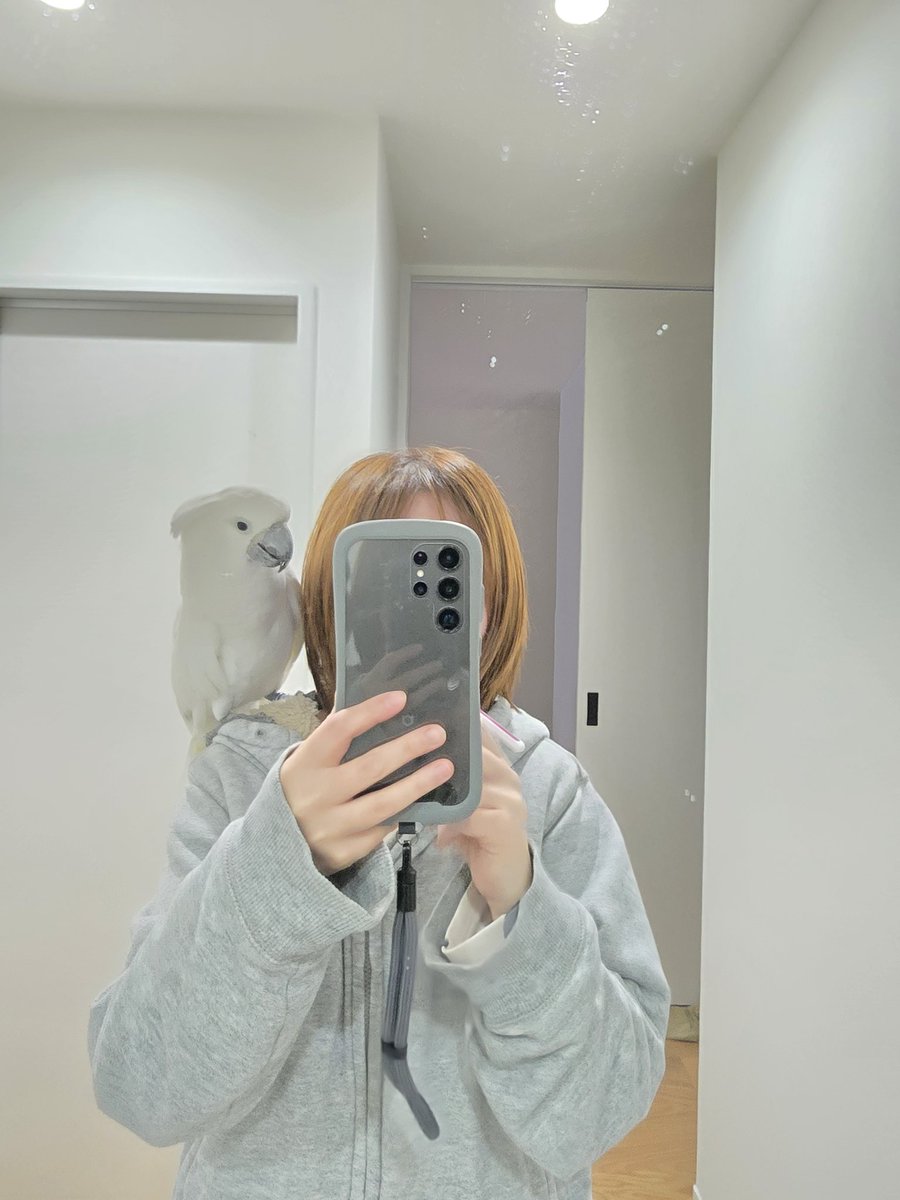 exj's tweet photo. 朝から謎の行動(ハミガキ)をする飼い主が気になって仕方ないです。 https://t.co/7hK6Kd9k43