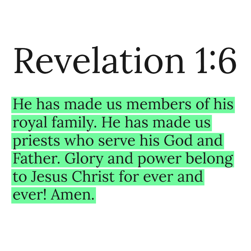 Holy Bible tweet media