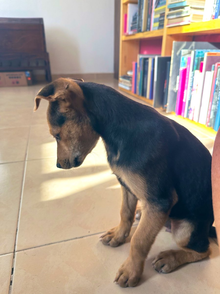 Valentina Gatti tweet media