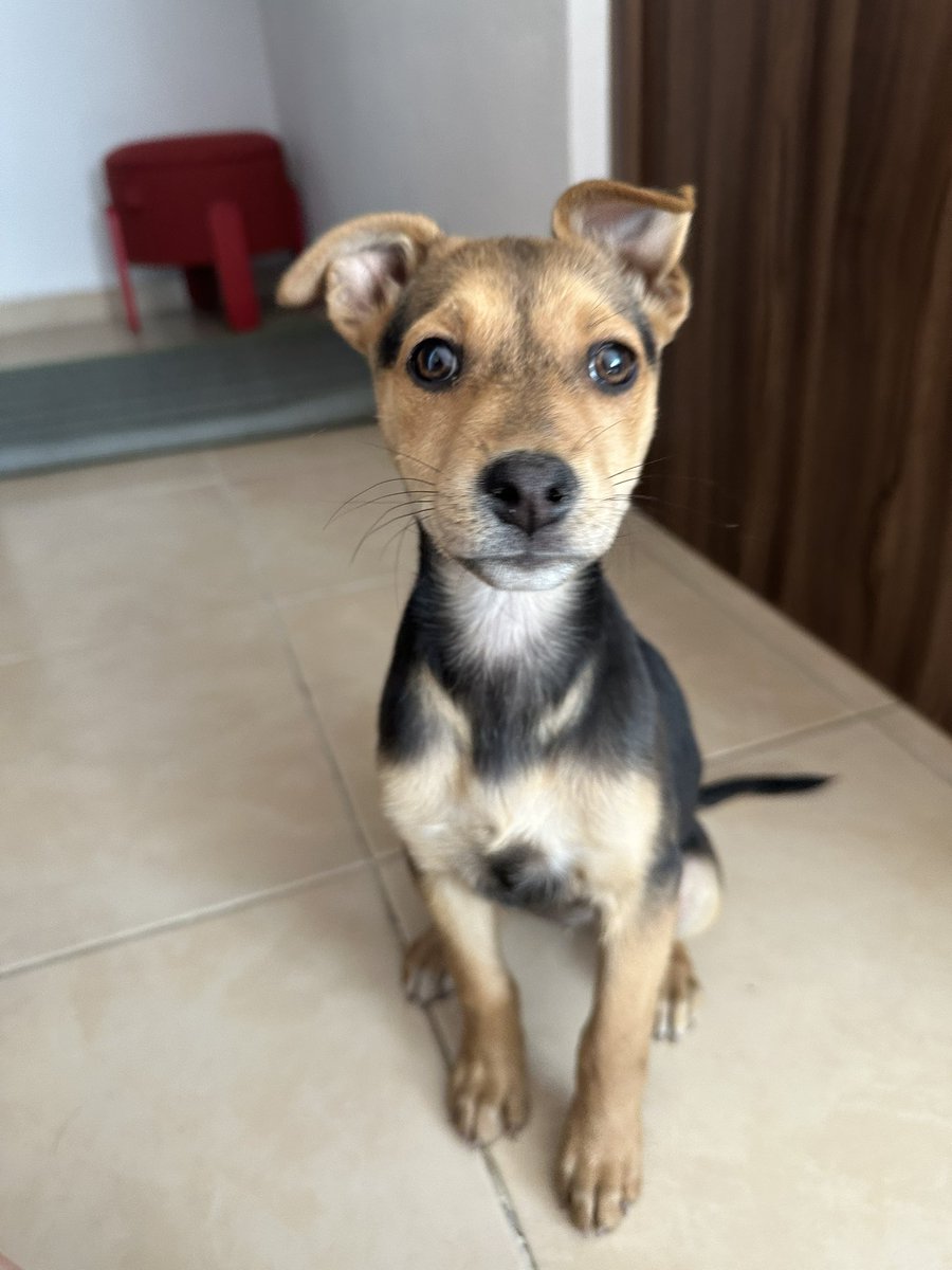 Valentina Gatti tweet media