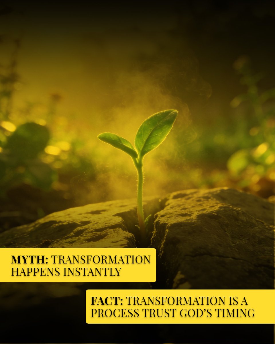 Cherri159737's tweet image. Grace isn’t about perfection. It’s about trusting God’s process. 
God Changes Us shows how transformation happens step by step. 
Ready to start your journey?

#GodChangesUs #FaithInAction #SmallSteps #TrustGod #GraceInAction #TransformationJourney #FaithNotPerfection