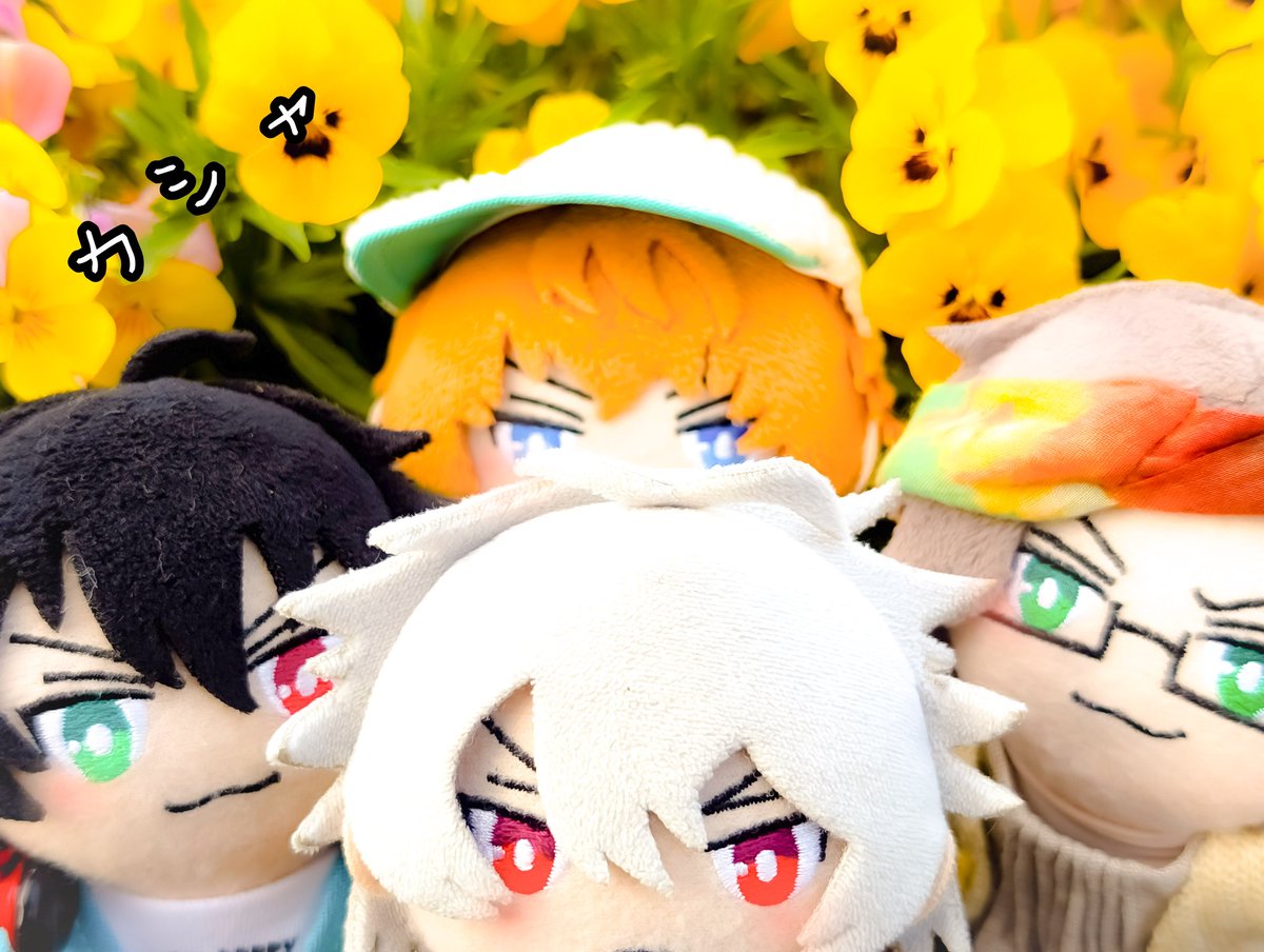 おおんさまとハマちゃんズ。 tweet media