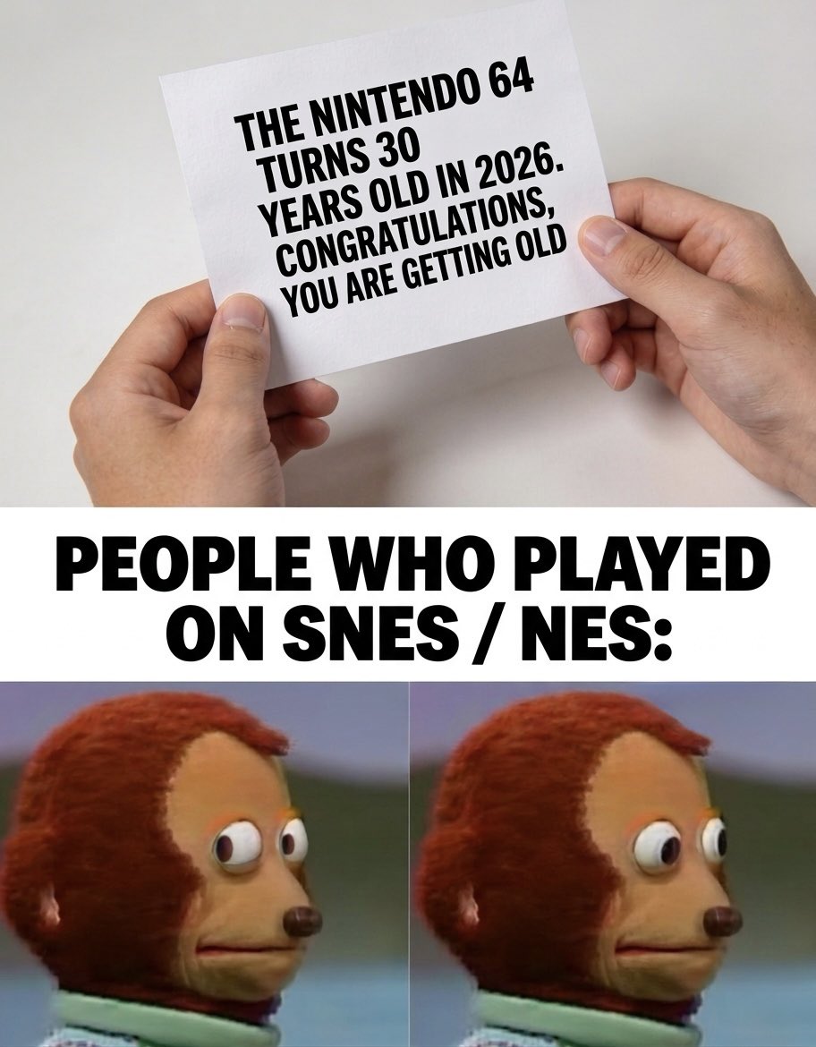 Rino🚀 tweet media