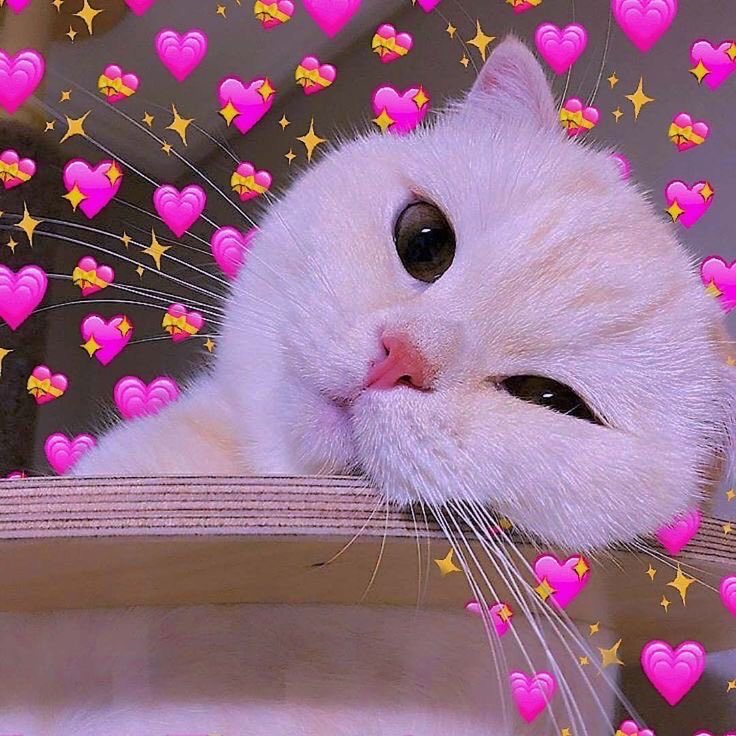 Purpleninjarg's tweet image. Amo cuando los streams de Denisse terminan siendo una "terapia con Denu". Ella siempre con las palabras justas #DB